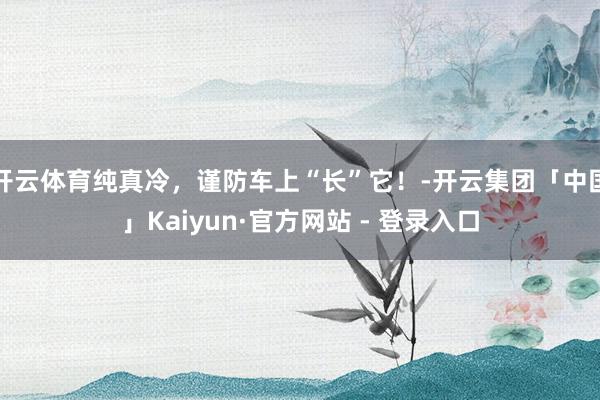 开云体育纯真冷，谨防车上“长”它！-开云集团「中国」Kaiyun·官方网站 - 登录入口