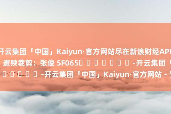 开云集团「中国」Kaiyun·官方网站尽在新浪财经APP            						遭殃裁剪：张俊 SF065							-开云集团「中国」Kaiyun·官方网站 - 登录入口