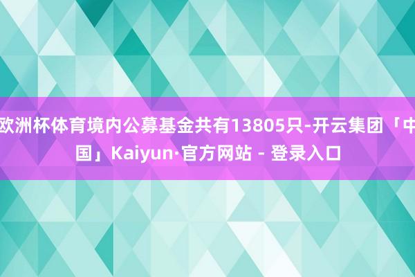 欧洲杯体育境内公募基金共有13805只-开云集团「中国」Kaiyun·官方网站 - 登录入口